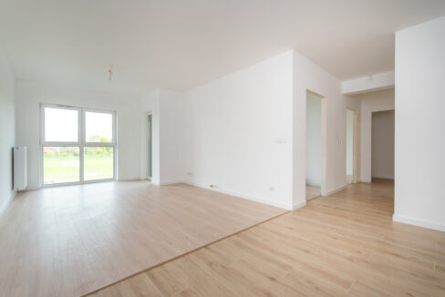 DSC0007 Poprawione Szum